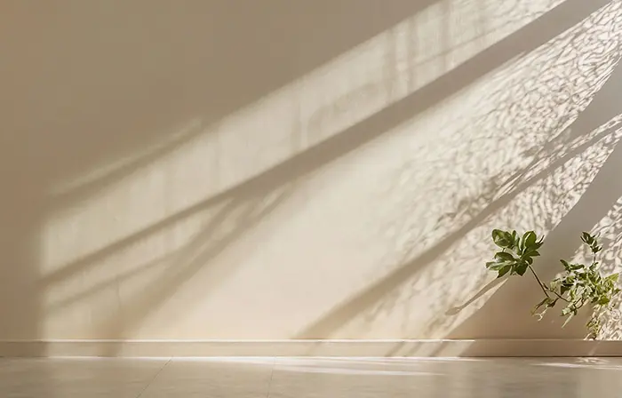 Soft Sunlight Indoor Texture image